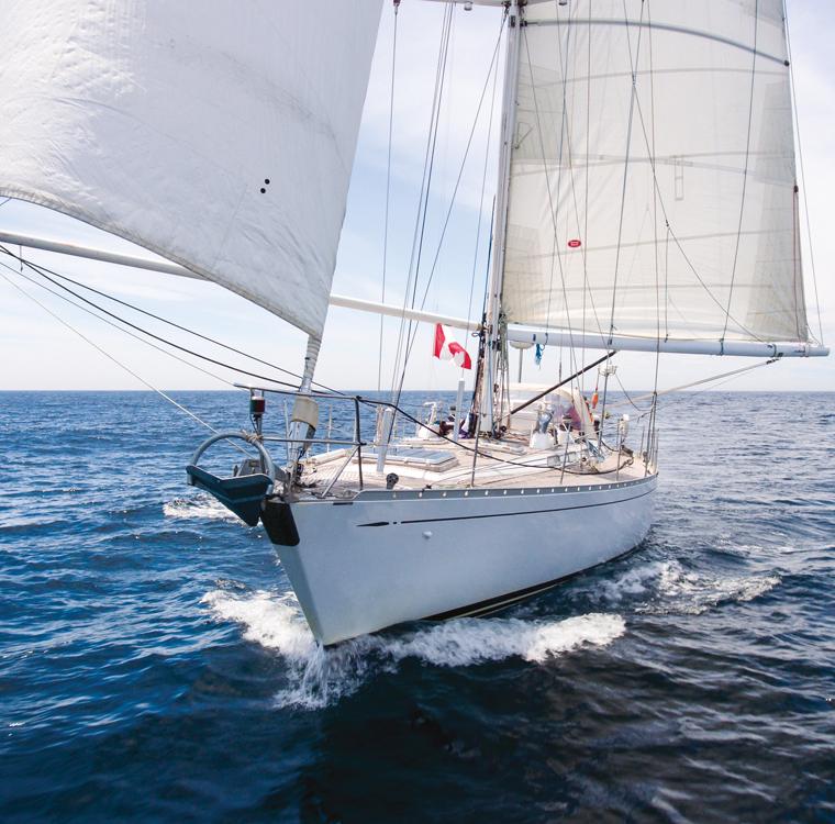 SWAN 59