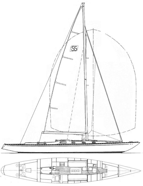 SWEDE 55