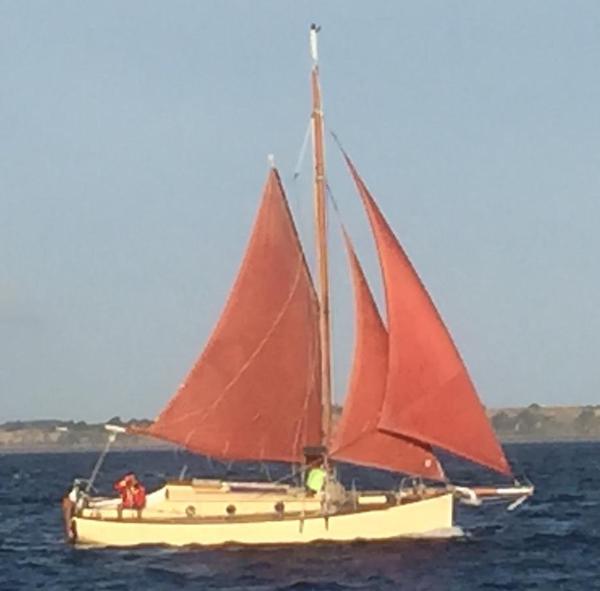 TAMARISK 29