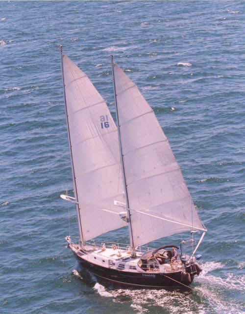 TANTON 43