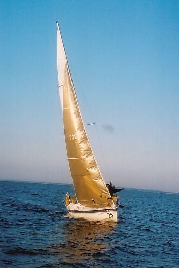TANZER 25