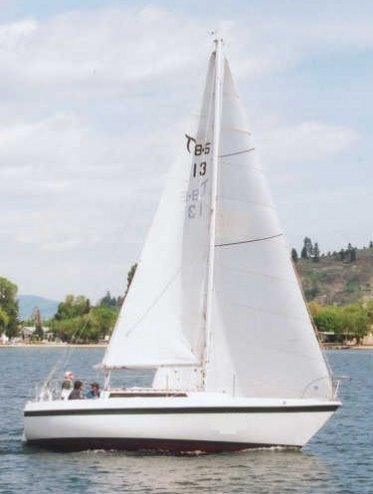 TANZER 31