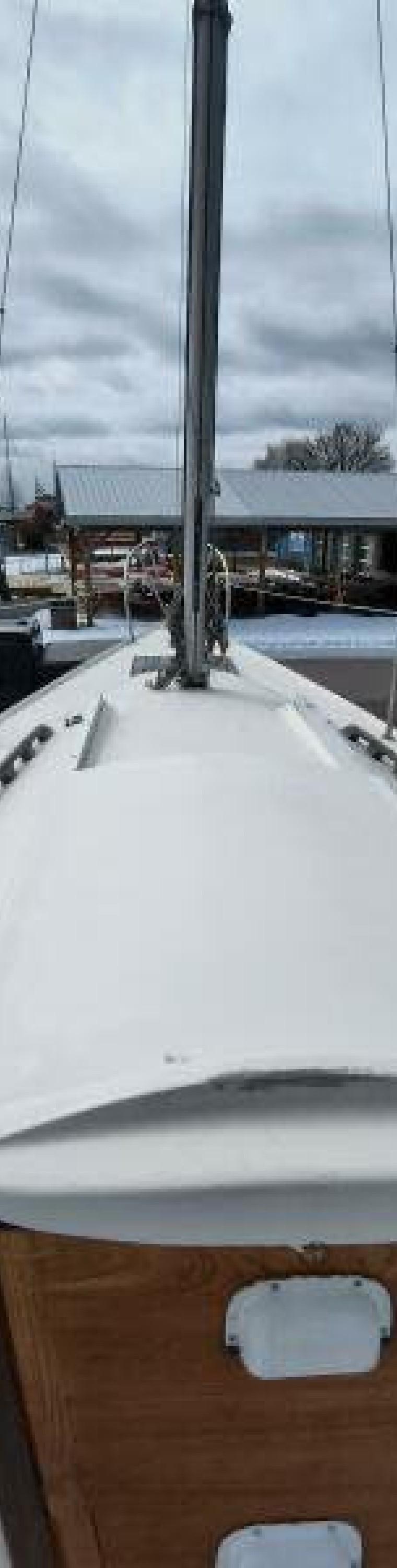 TANZER 7.5