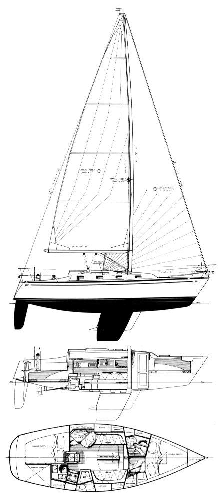 TARTAN 31