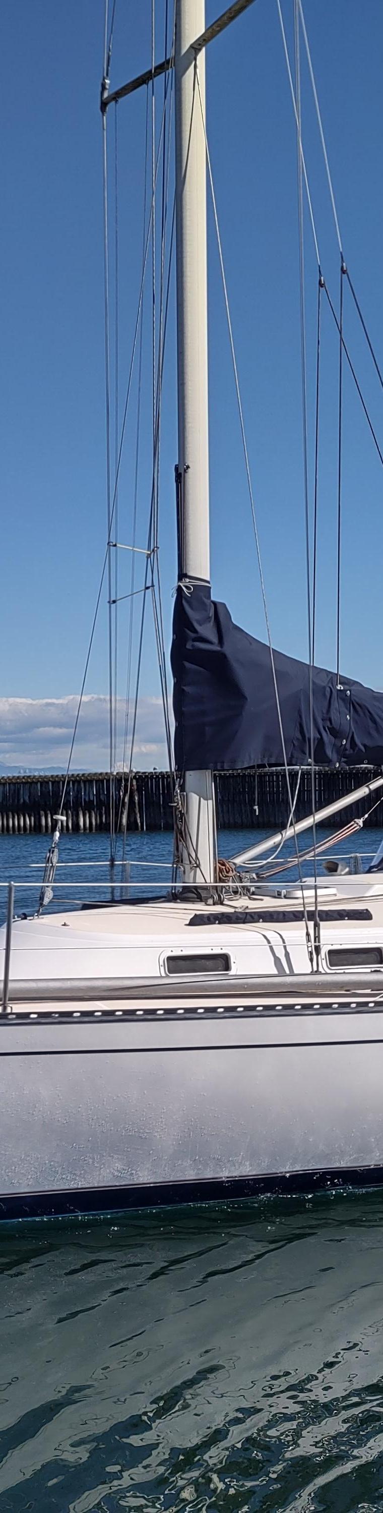 TARTAN 335