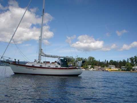 TASHIBA 31