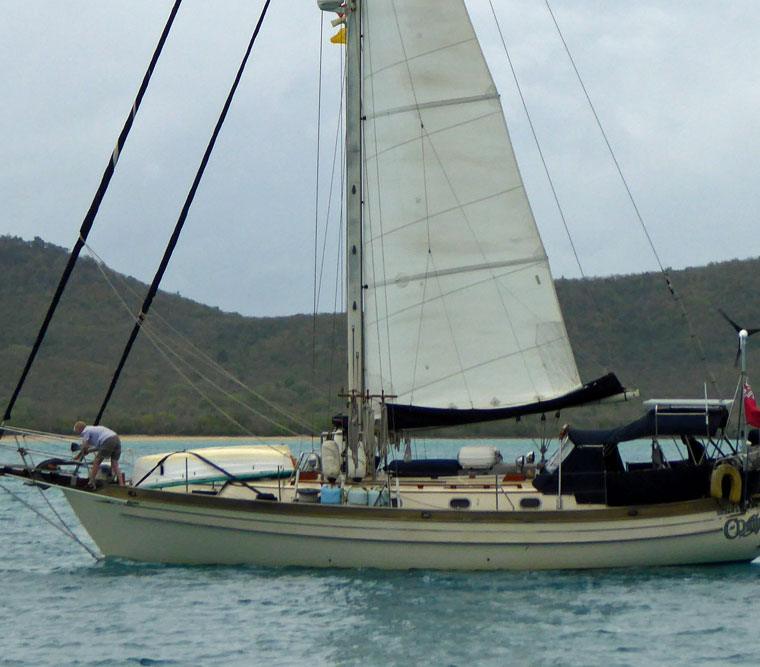 TASHIBA 40