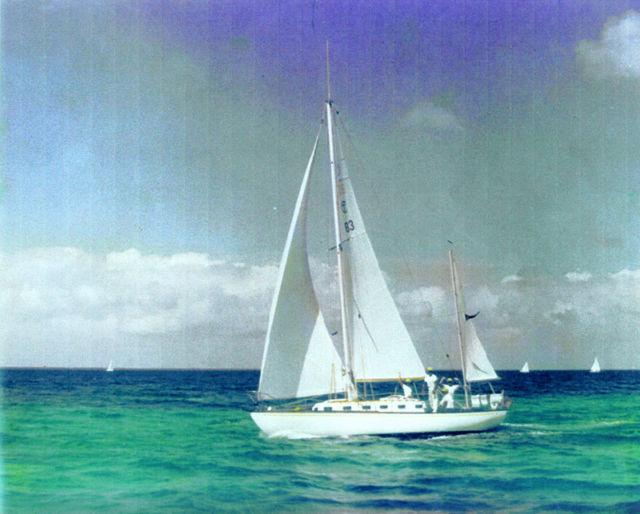TAVANA 33