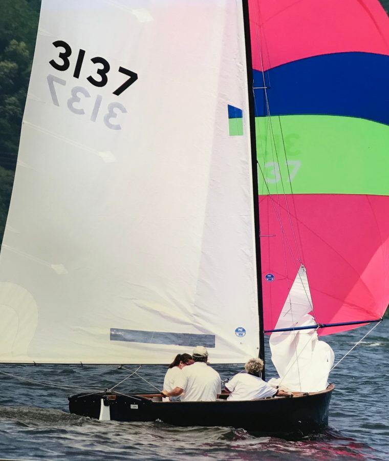 THISTLE 31