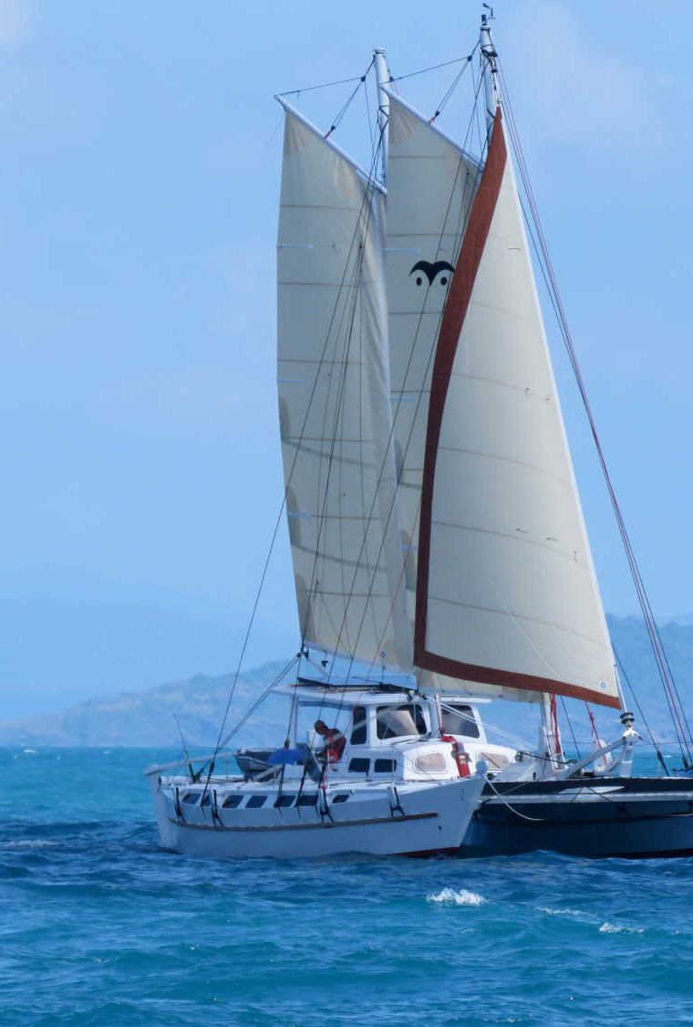 TIKI 46