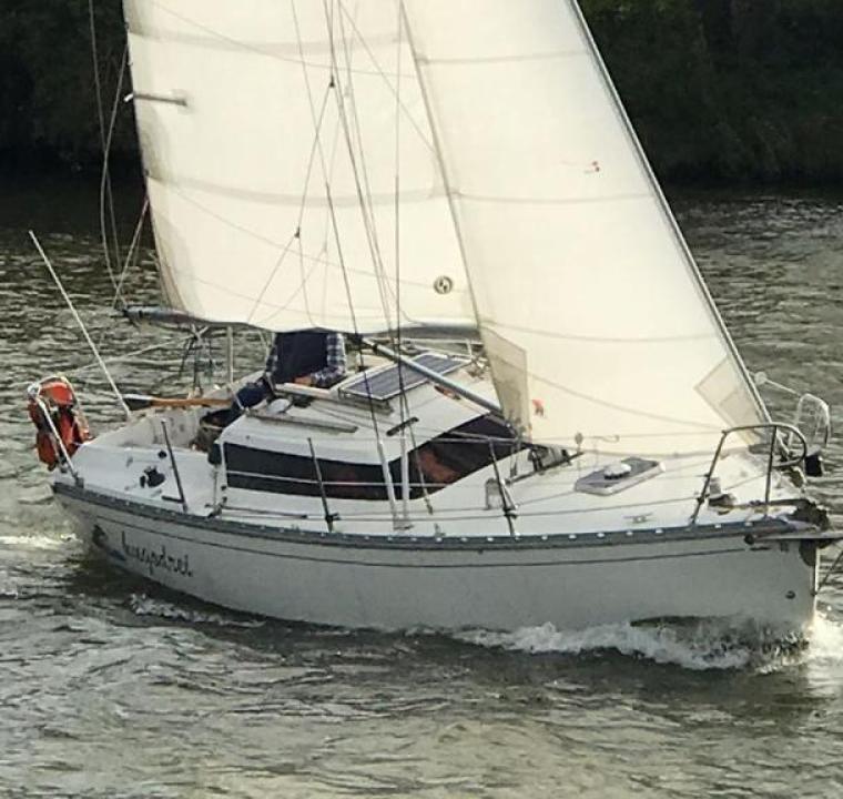 TONIC 23 (JEANNEAU)