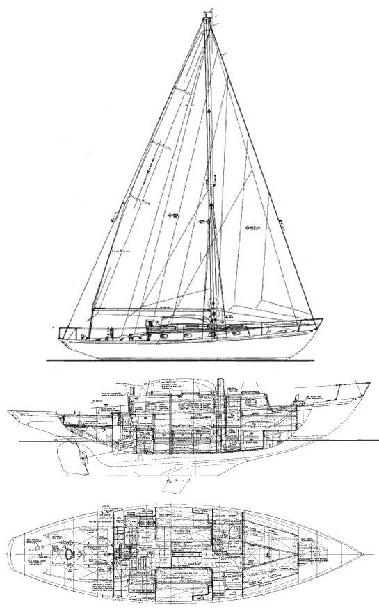 TOR 40