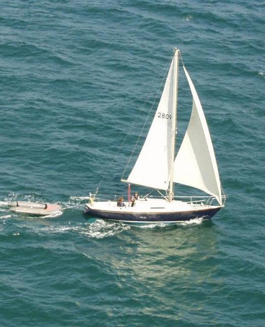 TRAPPER 28