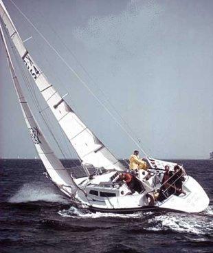 TRAPPER 950