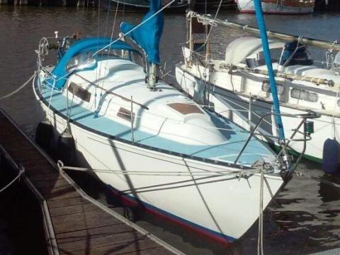 TRAPPER T250