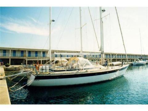 TRINTELLA 53