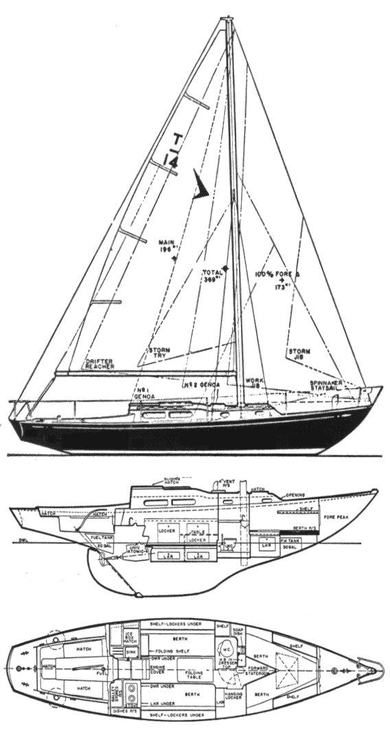 TRIPP 36