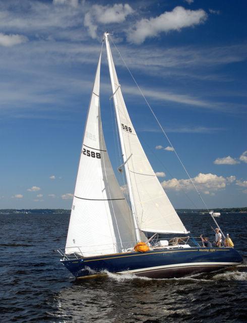 TRIPP 37