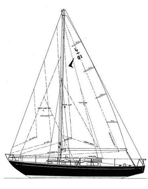 TRIPP 38