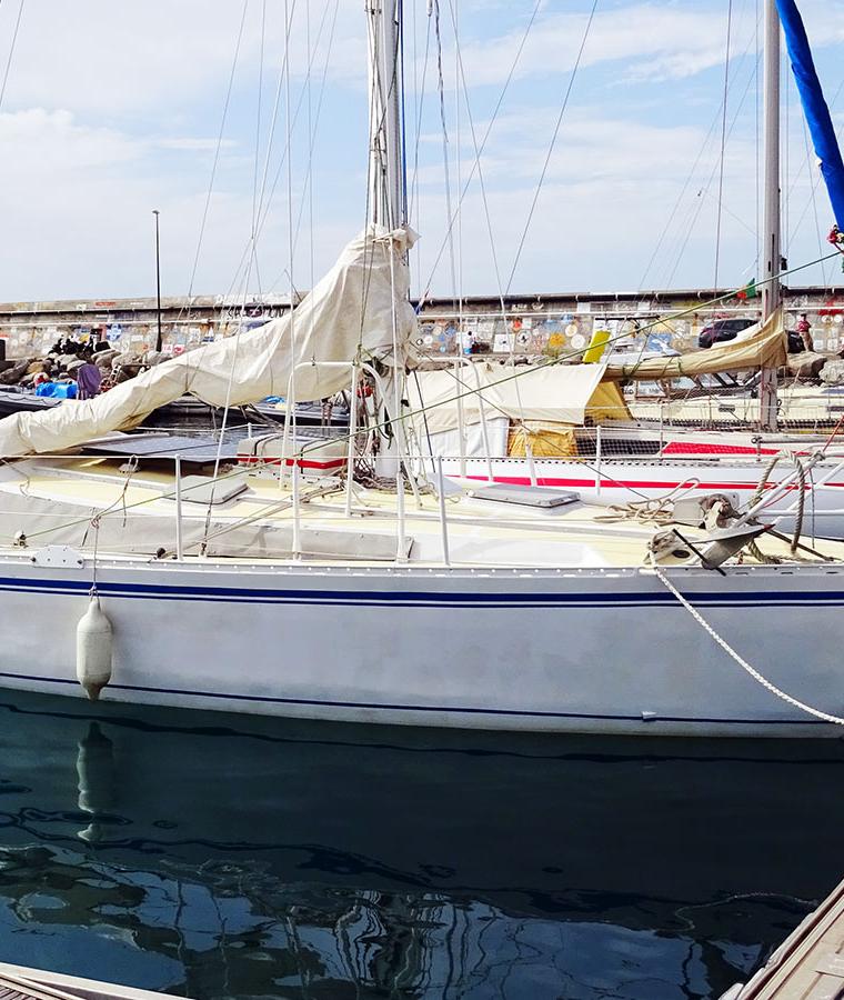 TRISBAL 36