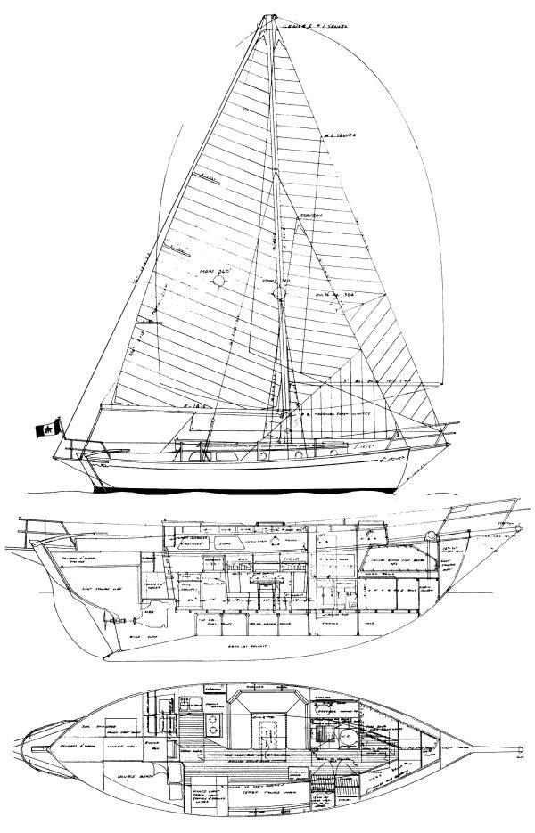 TRUE NORTH 34
