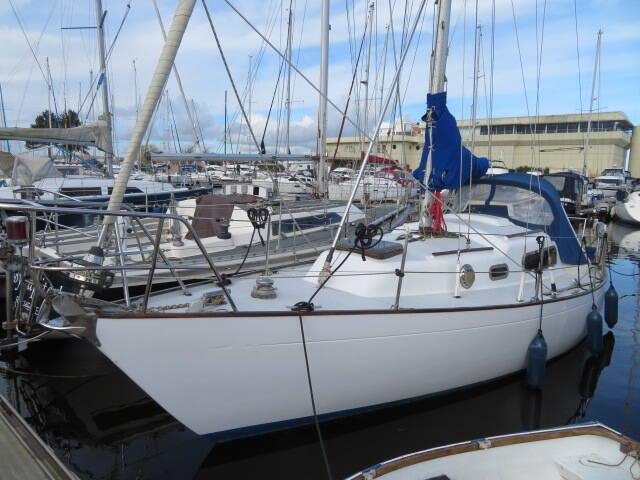 VAN DE STADT 29 (SEA DOG 29)