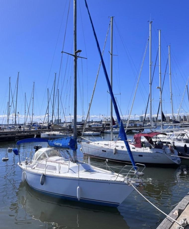 VELAMAR 33