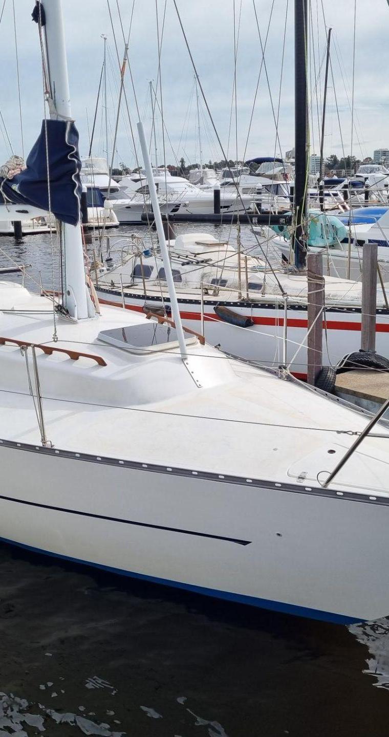 VIKING 30 (BUCHANAN)