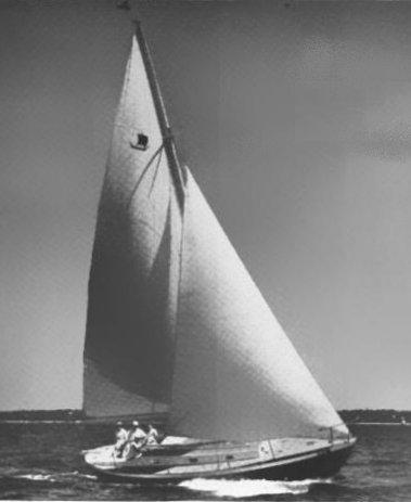 VIKING 31 (LUDERS)