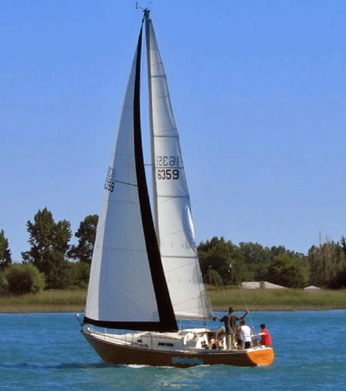 VIKING 33