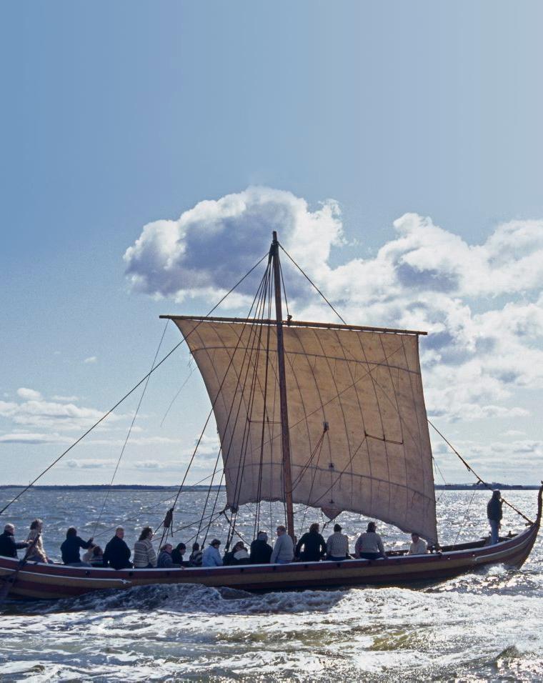 VIKING (AAS)