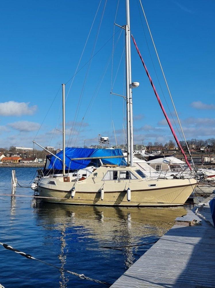 VIKSUND 31 GOLDFISH MS