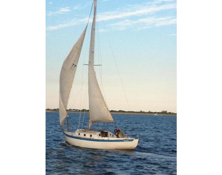 VINEYARD VIXEN 29