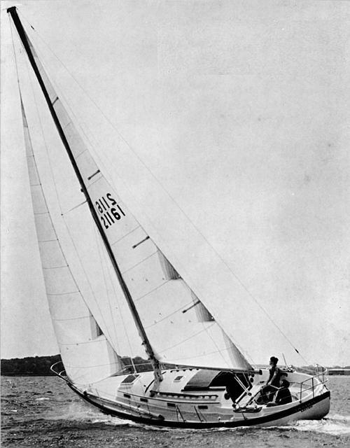VINEYARD VIXEN 34