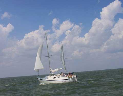 VOYAGER 30 (LUGER)