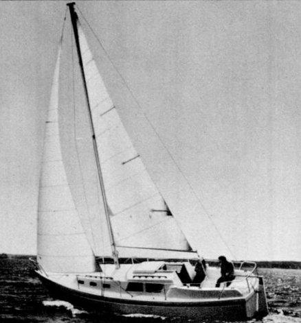 VOYAGER 30 (PRIMROSE)