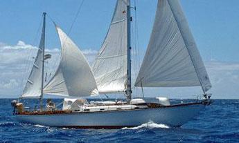 WARRIOR 40