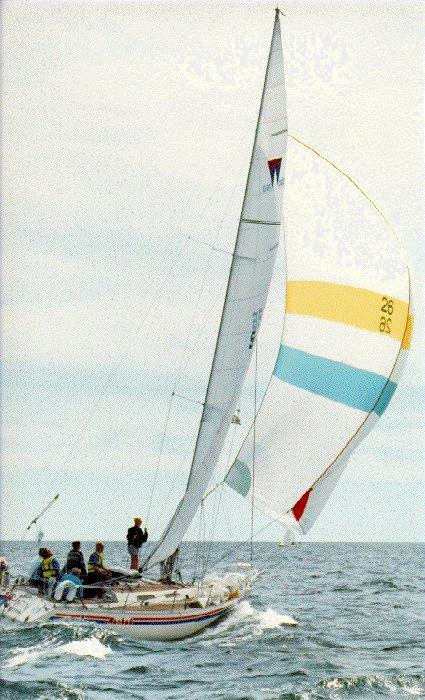 WASA 360