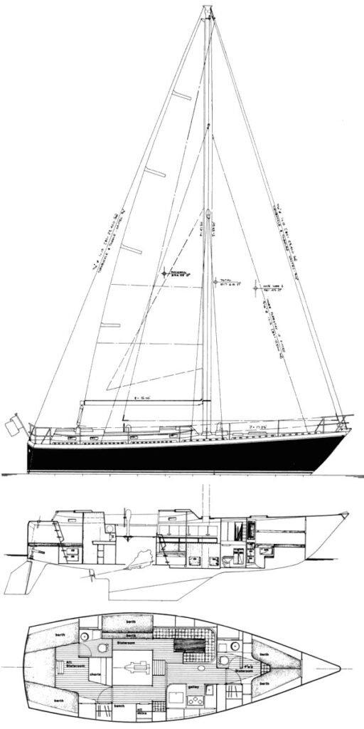 WHITNEY 41
