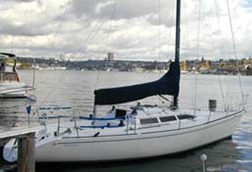 WILDERNESS 40