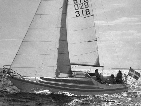 WINGA 29