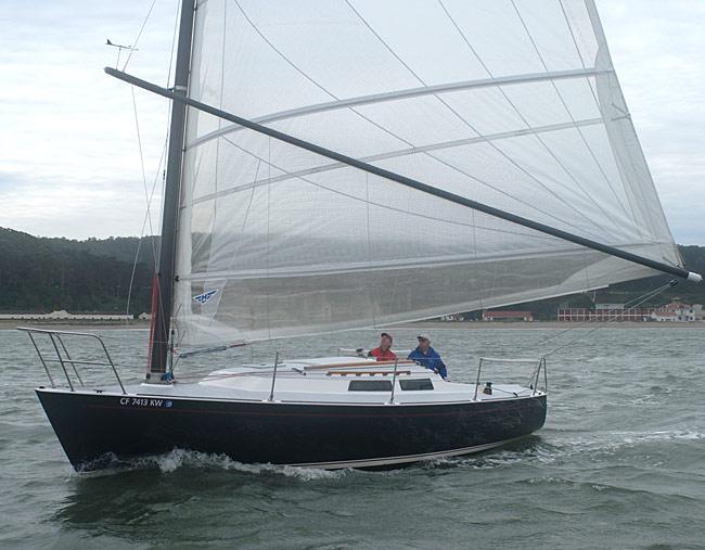 WYLIECAT 30