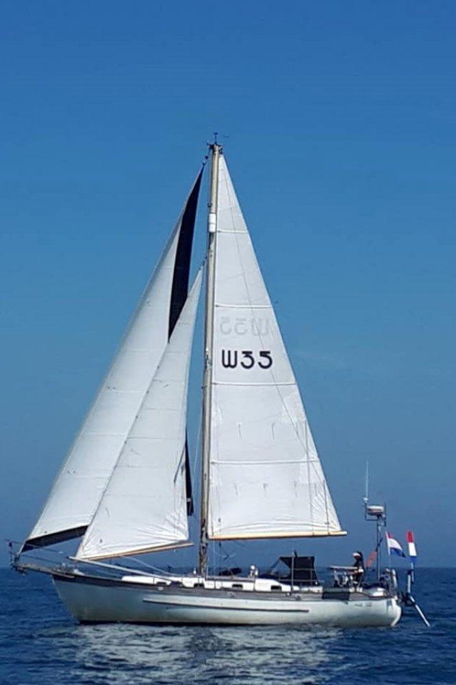 YOUNG SUN 35