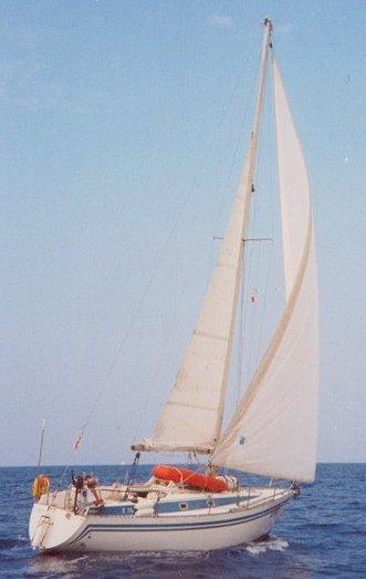 ZUANELLI 34