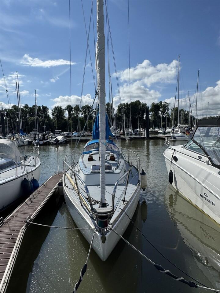 AQUA 30