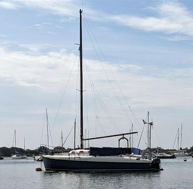ATALANTA 26
