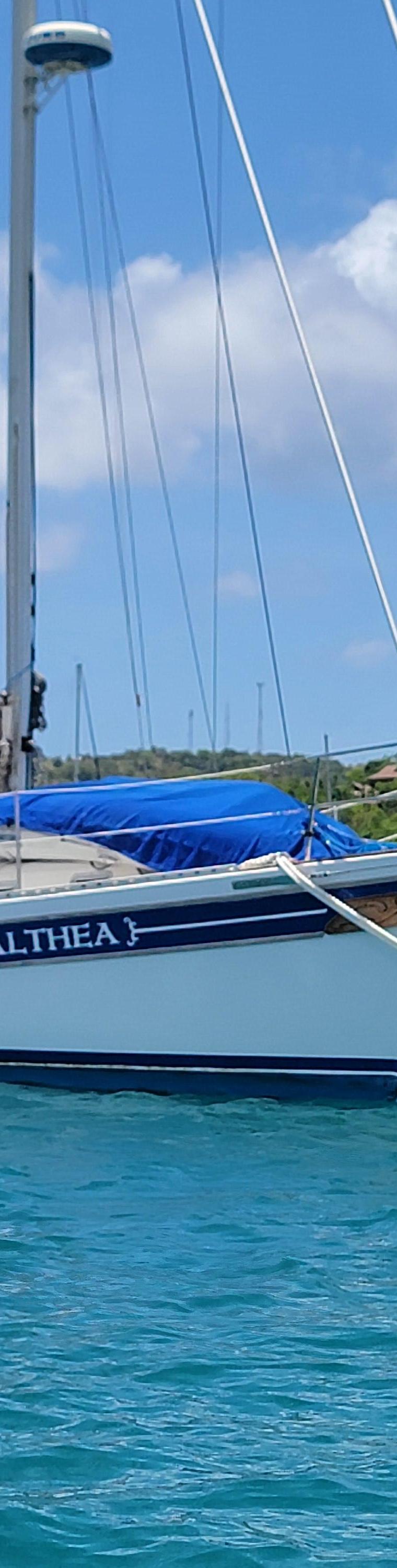 BAYFIELD 36