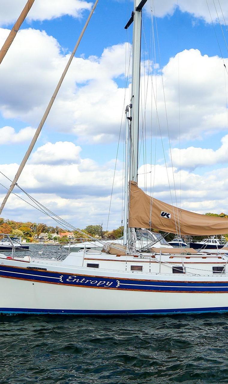 BAYFIELD 40