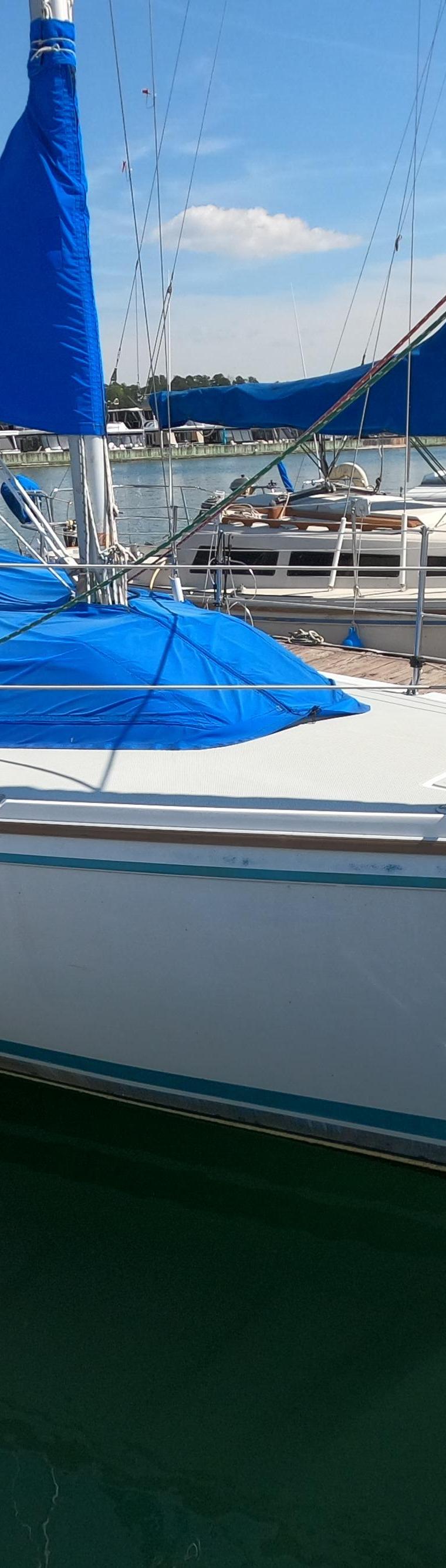 CAPRI 26 (CATALINA)