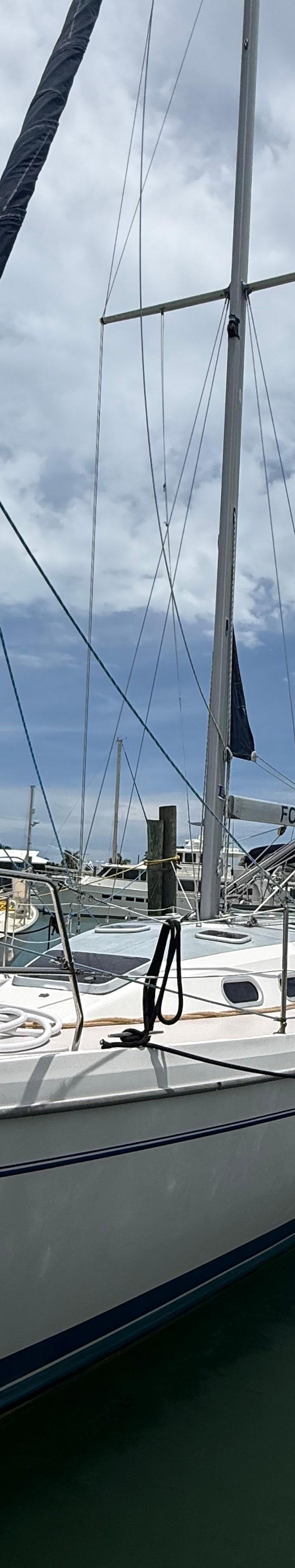 CATALINA 390
